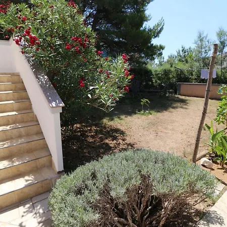 With Parking Space Nin, Zadar - 11402 Apartamento Nin